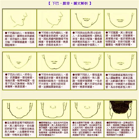 長下巴 面相|面相分析下巴长的人